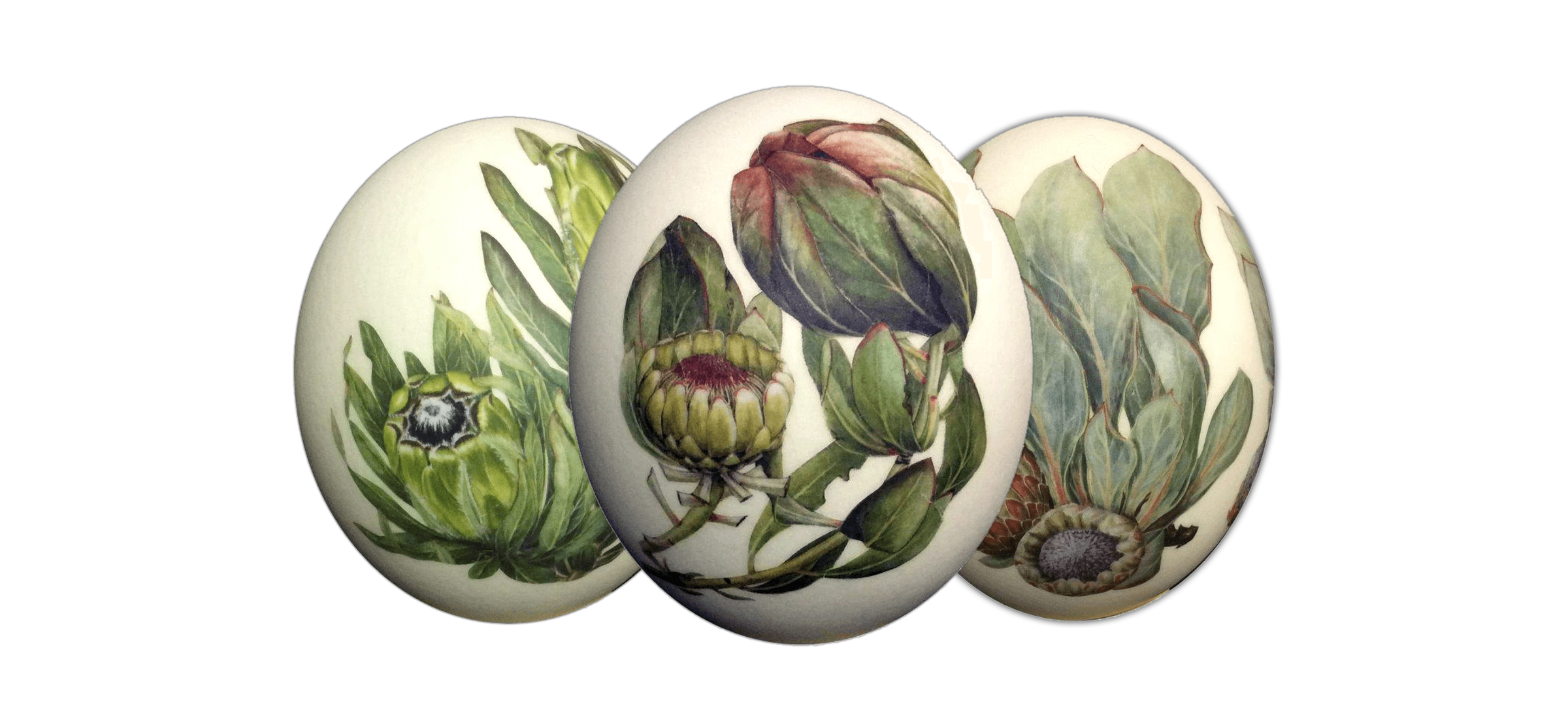 chapter_visual_eggs