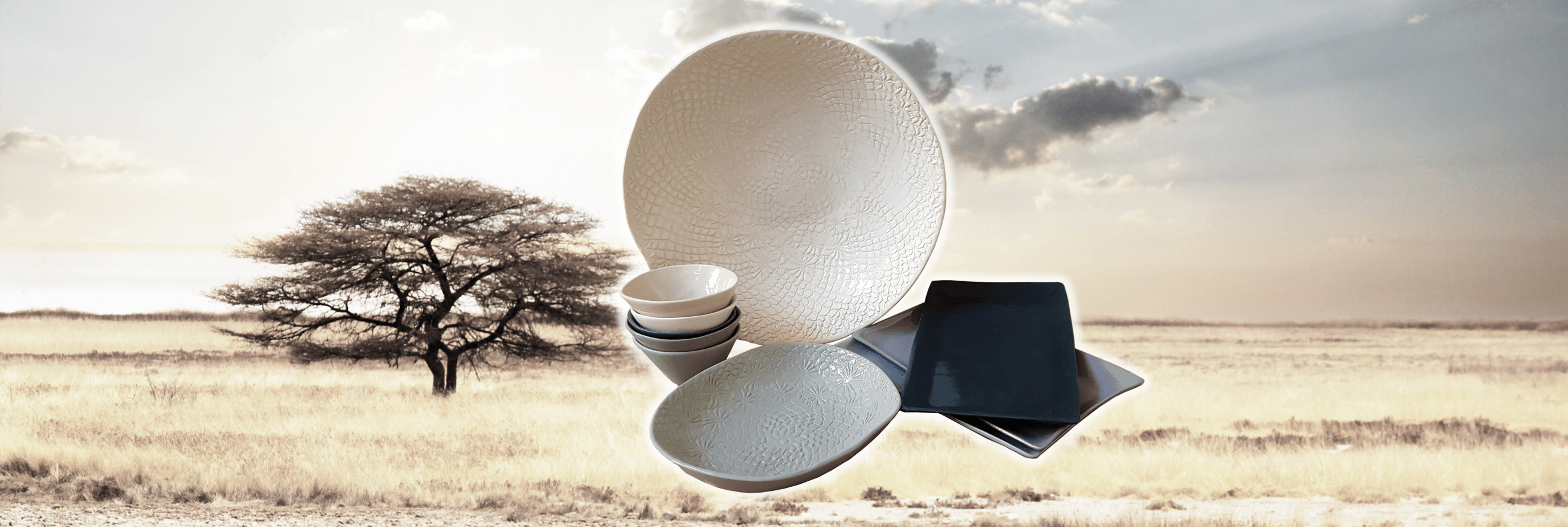 home_slider_zambesi_winds